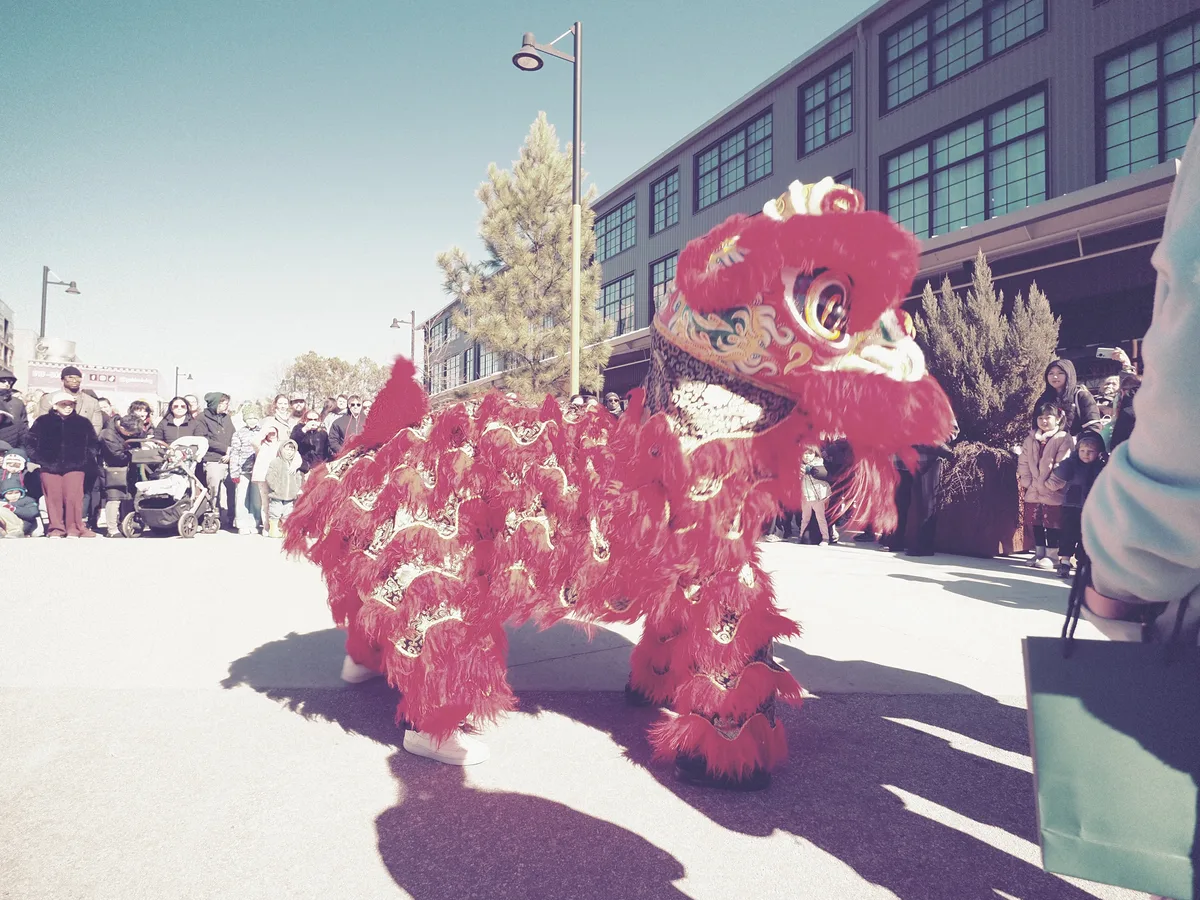 Lunar New Year photograph 7